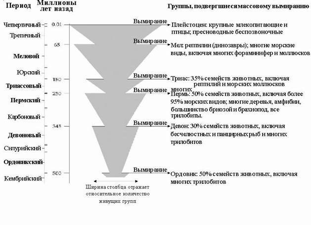 Реферат: Биоразнообразие Реферат: Биоразнообразие