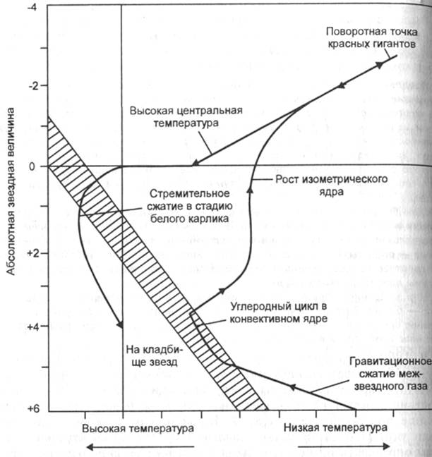 Реферат: Эволюция звезд Реферат: Эволюция звезд